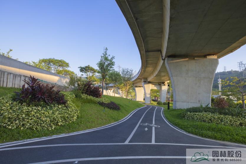 电竞比赛押注app