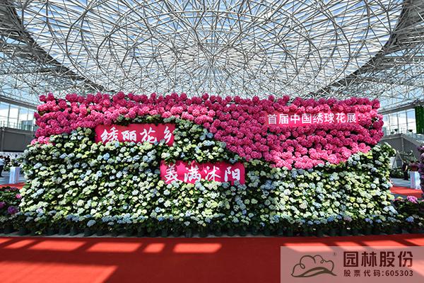 电竞比赛押注app