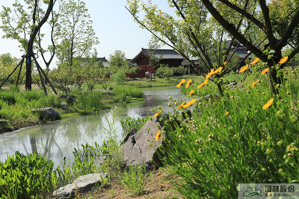 电竞比赛押注app