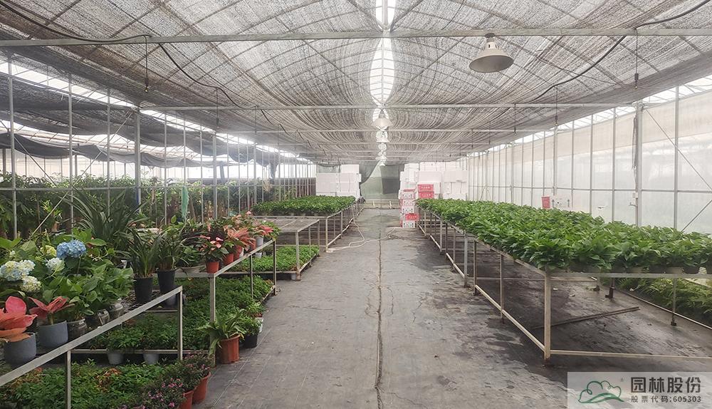 电竞比赛押注app