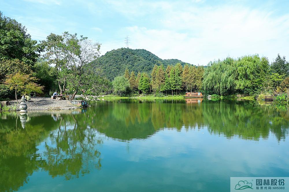 电竞比赛押注app