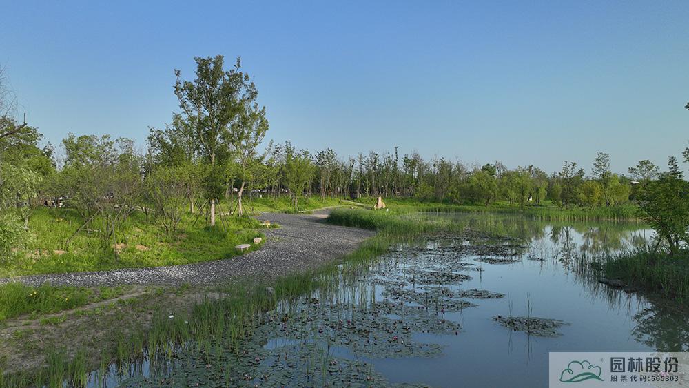 电竞比赛押注app