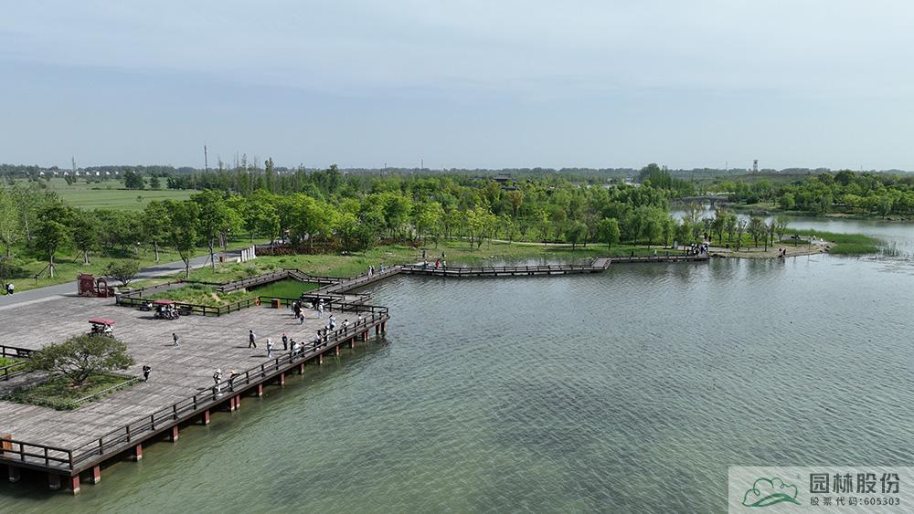 电竞比赛押注app