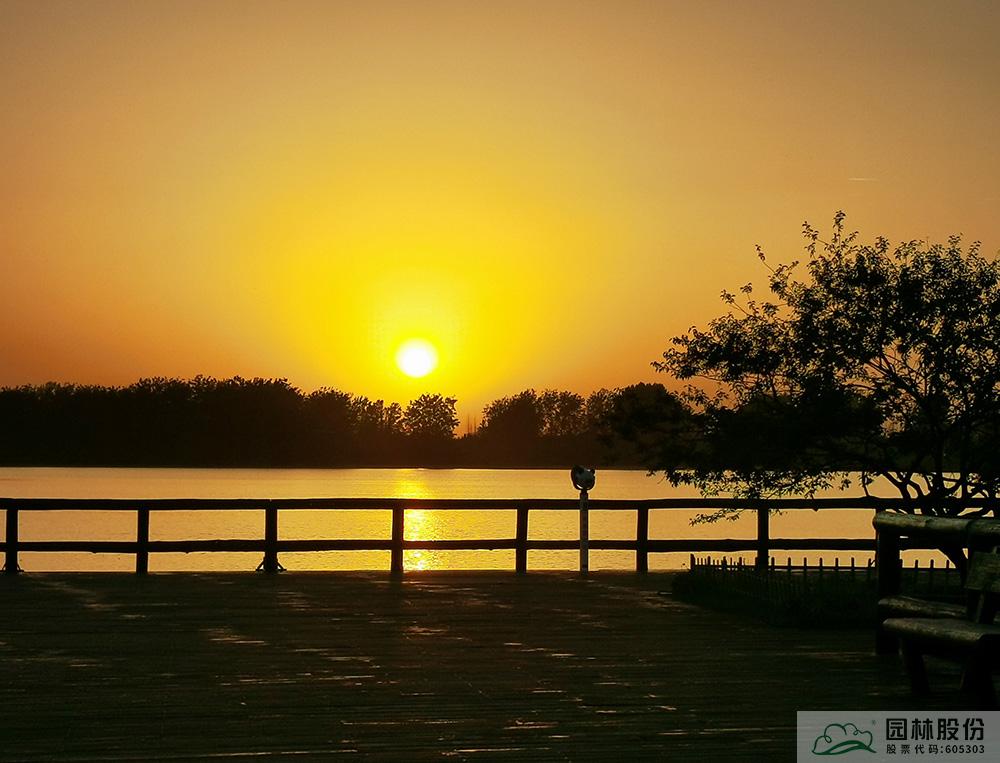 电竞比赛押注app