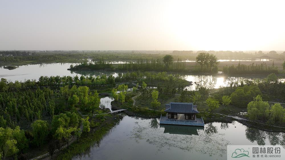 电竞比赛押注app