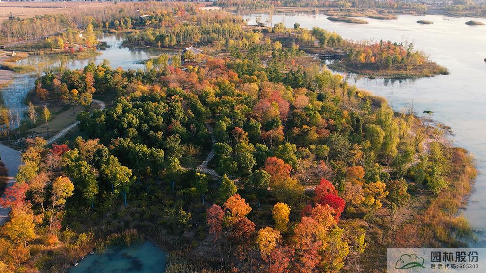 电竞比赛押注app