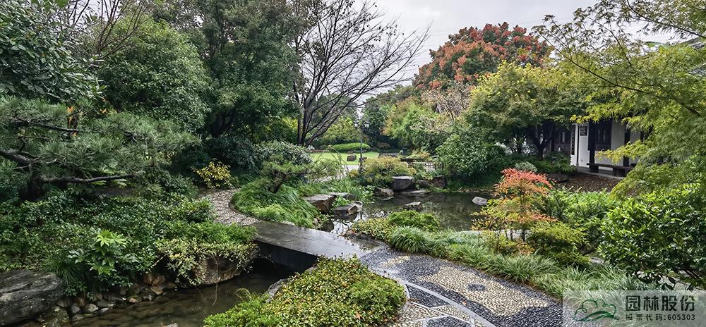 电竞比赛押注app