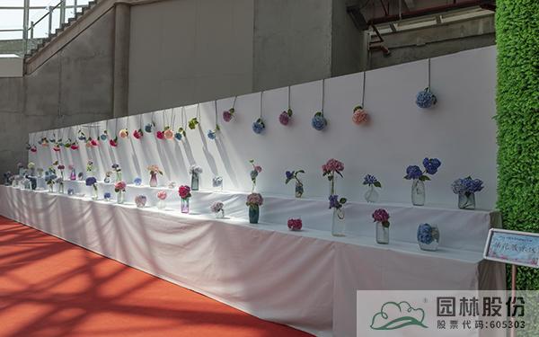 电竞比赛押注app