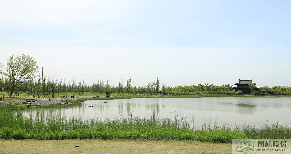 电竞比赛押注app