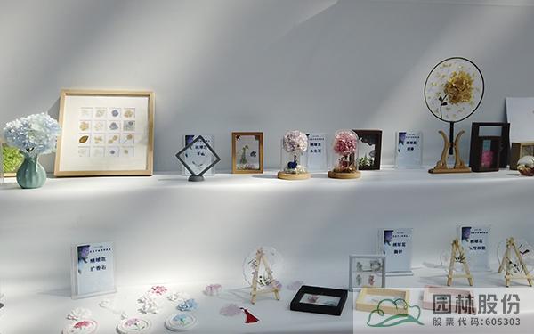 电竞比赛押注app