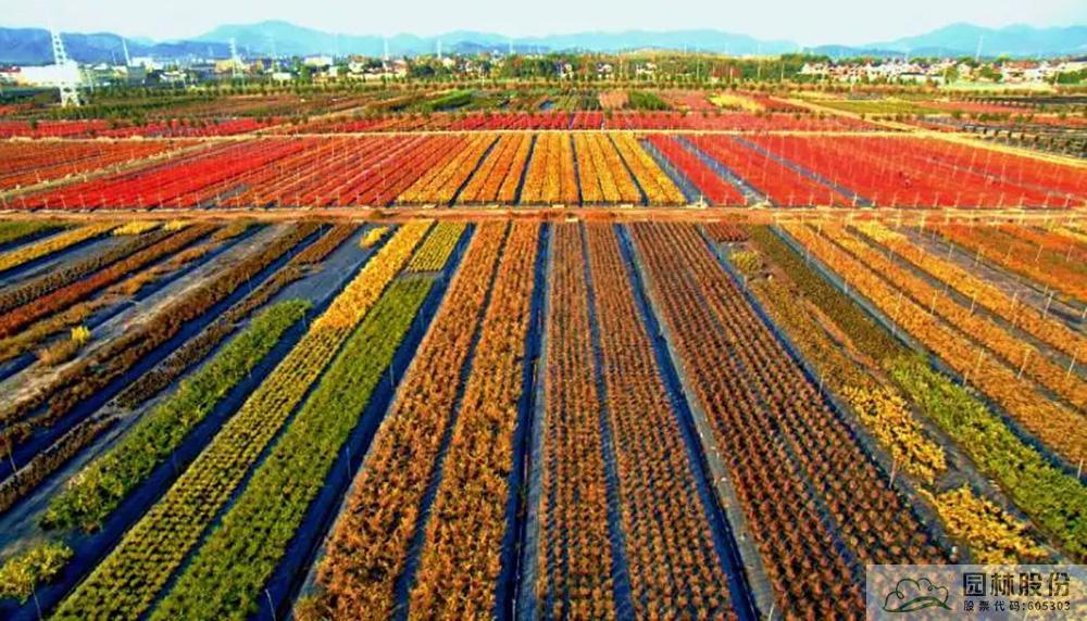 电竞比赛押注app