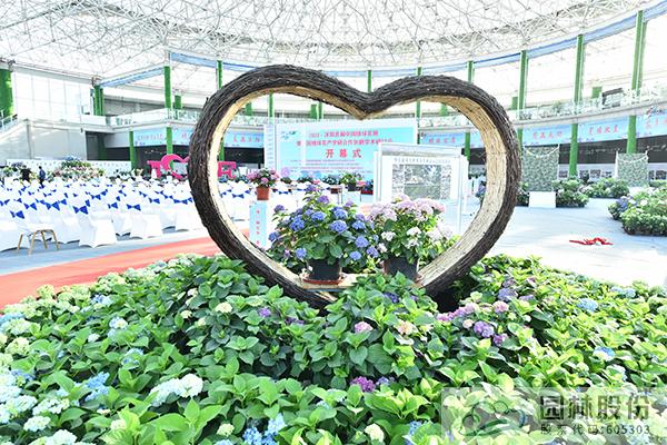 电竞比赛押注app