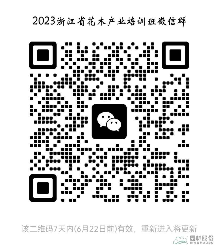 电竞比赛押注app