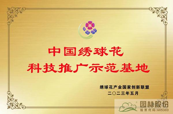 电竞比赛押注app