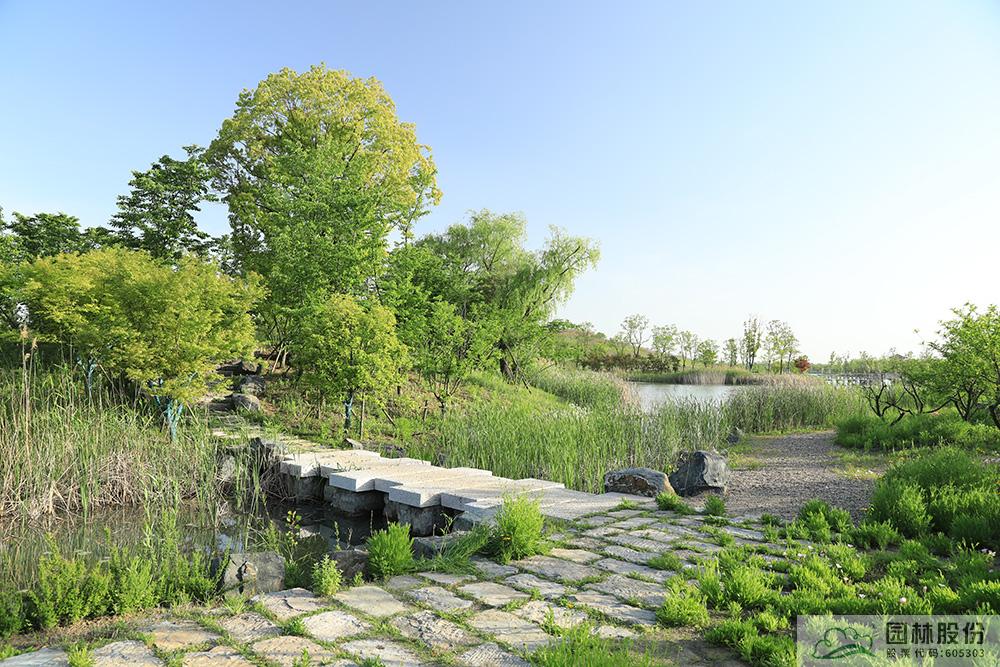 电竞比赛押注app