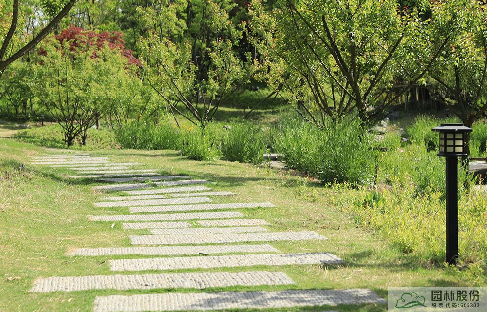 电竞比赛押注app