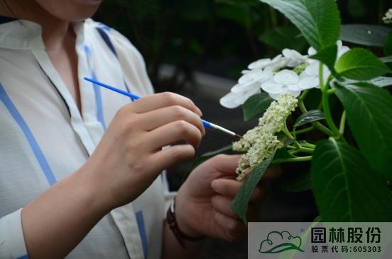 电竞比赛押注app