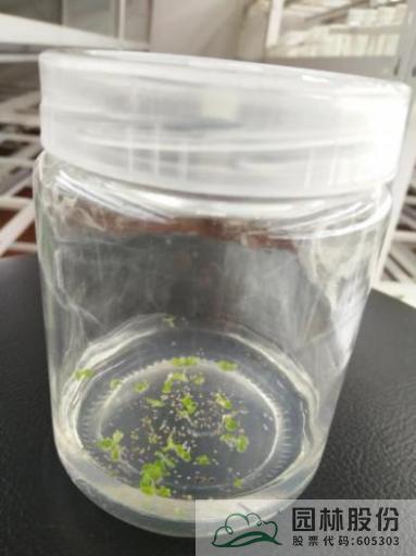 电竞比赛押注app