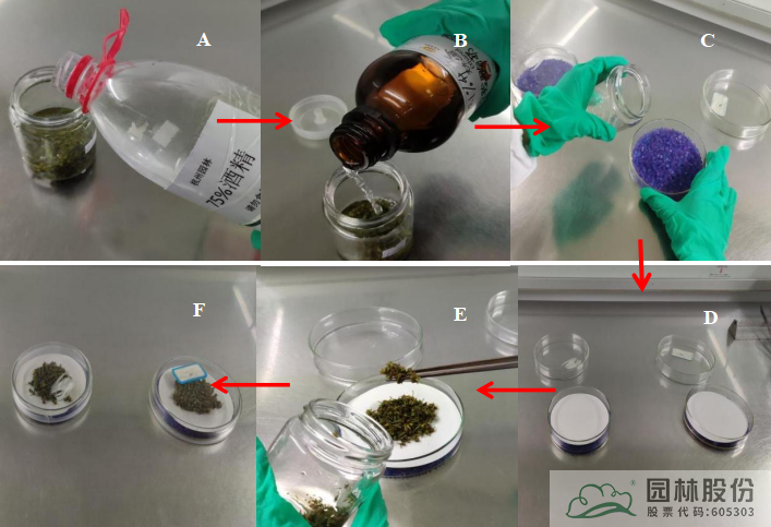 电竞比赛押注app