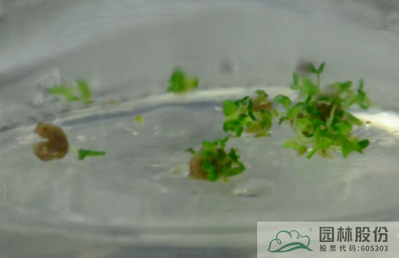 电竞比赛押注app