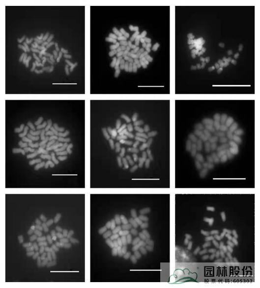 电竞比赛押注app
