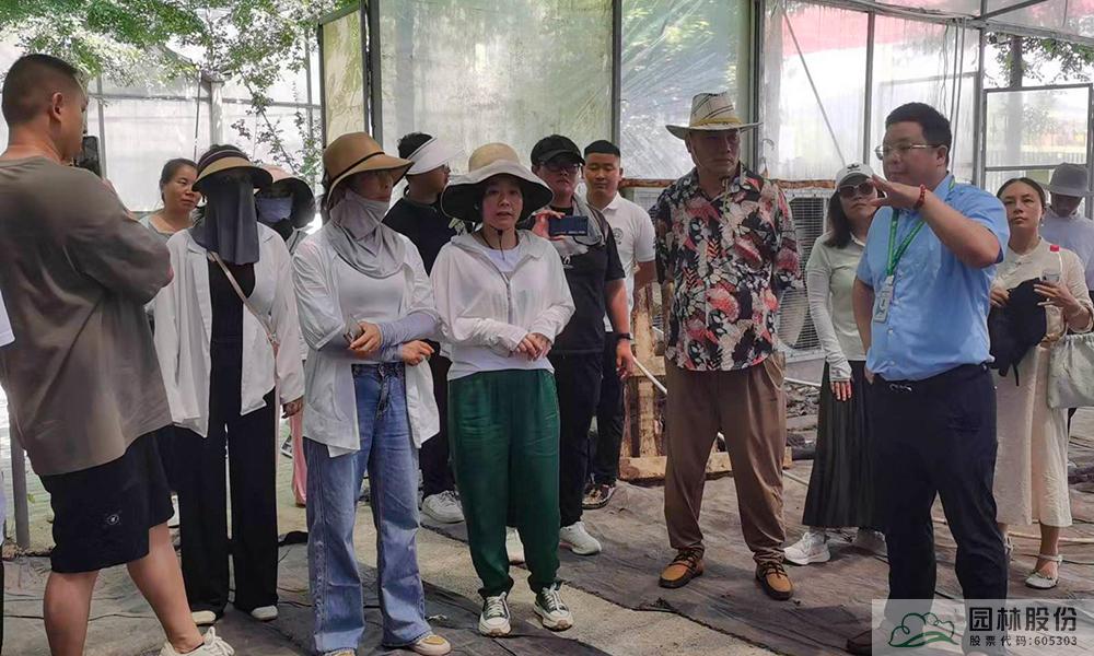 电竞比赛押注app