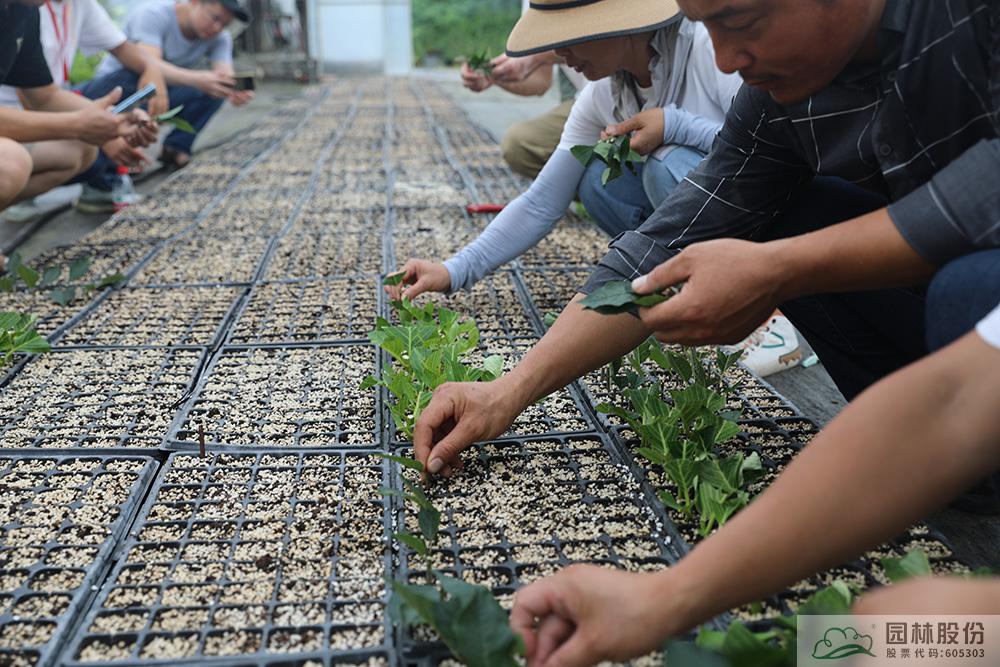 电竞比赛押注app