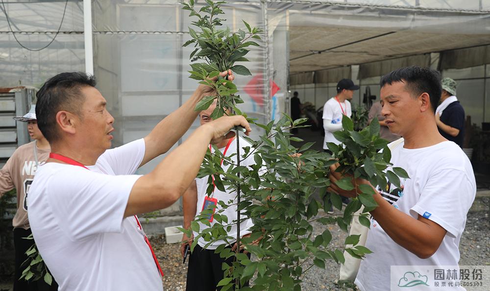 电竞比赛押注app