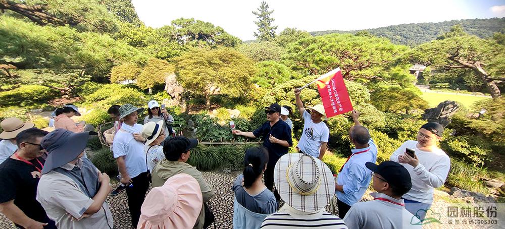 电竞比赛押注app