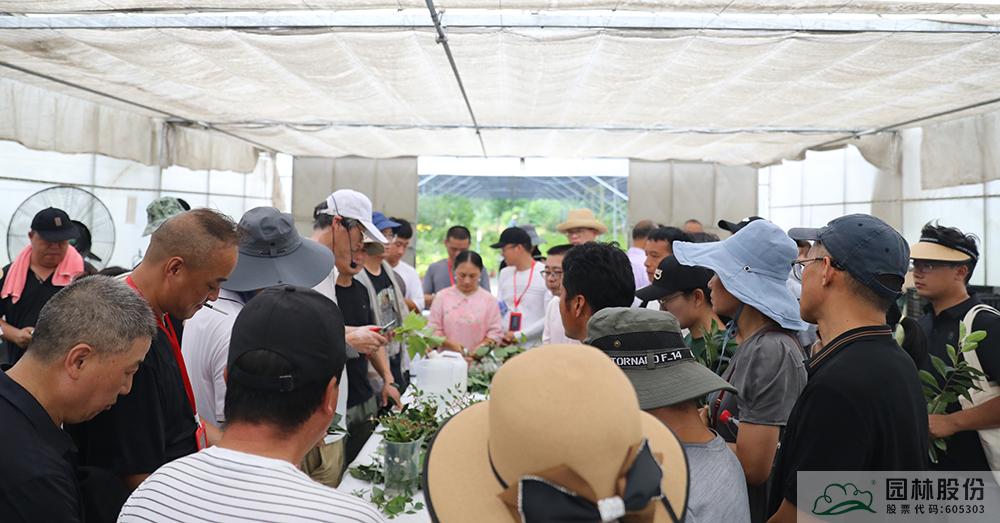 电竞比赛押注app