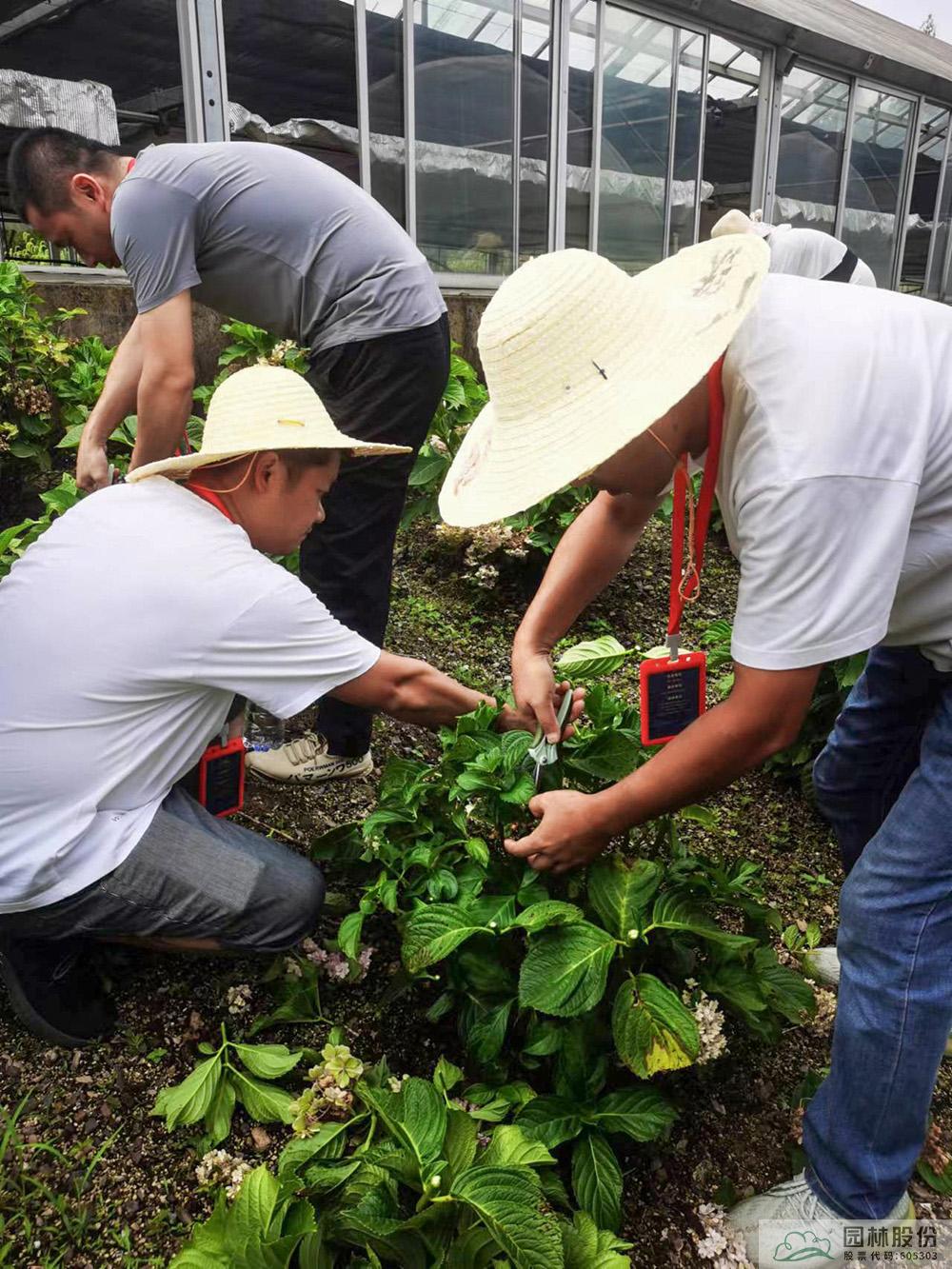 电竞比赛押注app