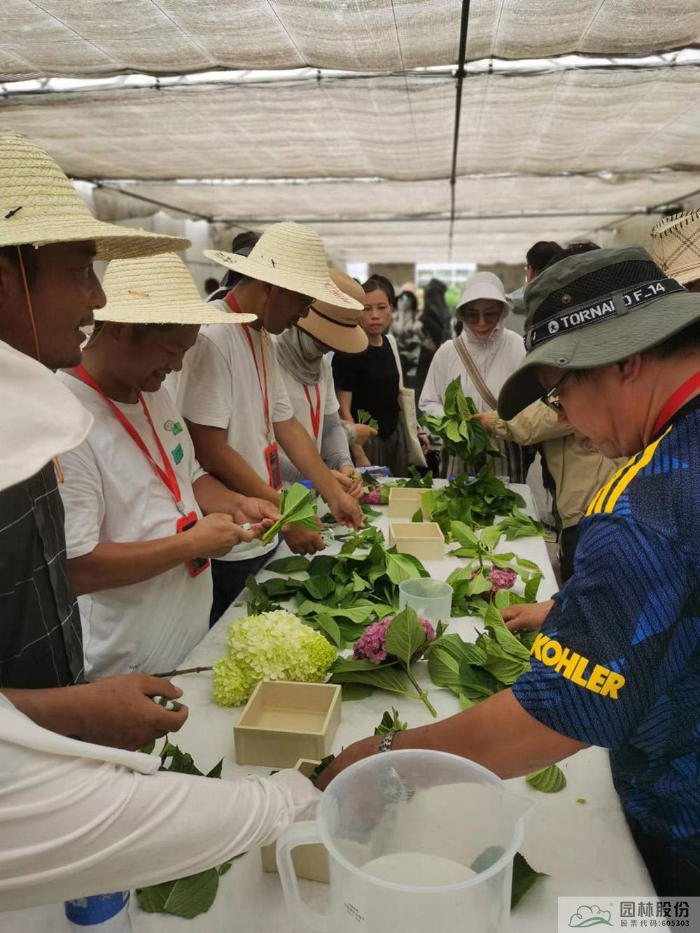 电竞比赛押注app