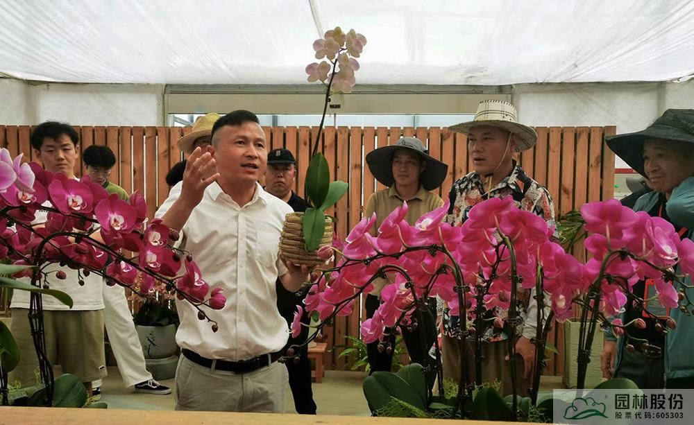 电竞比赛押注app