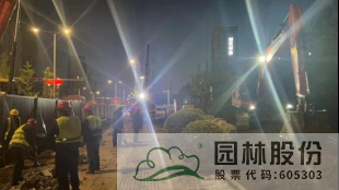 电竞比赛押注app