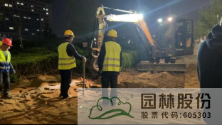 电竞比赛押注app