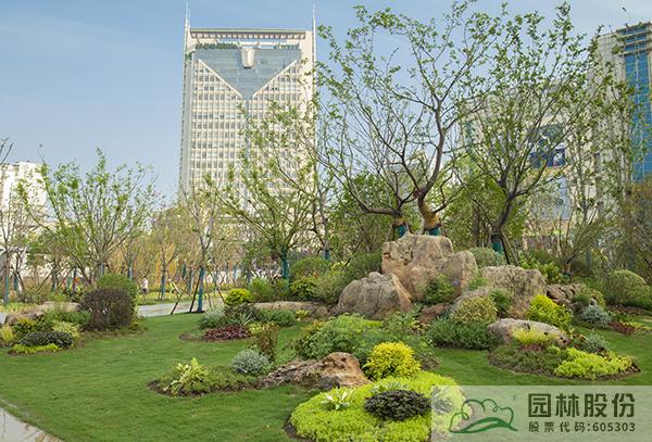 电竞比赛押注app