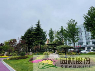 电竞比赛押注app