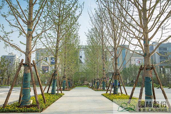 电竞比赛押注app