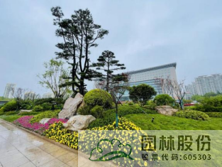 电竞比赛押注app