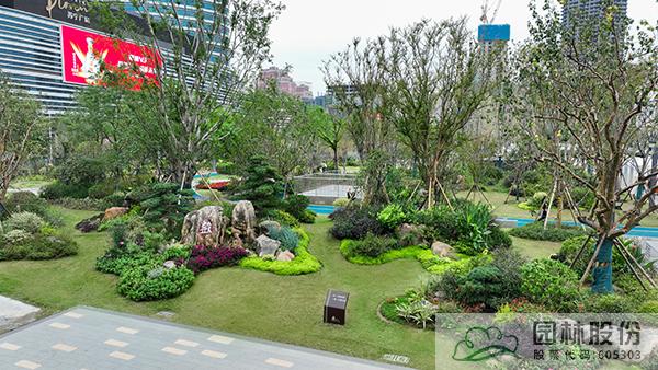 电竞比赛押注app