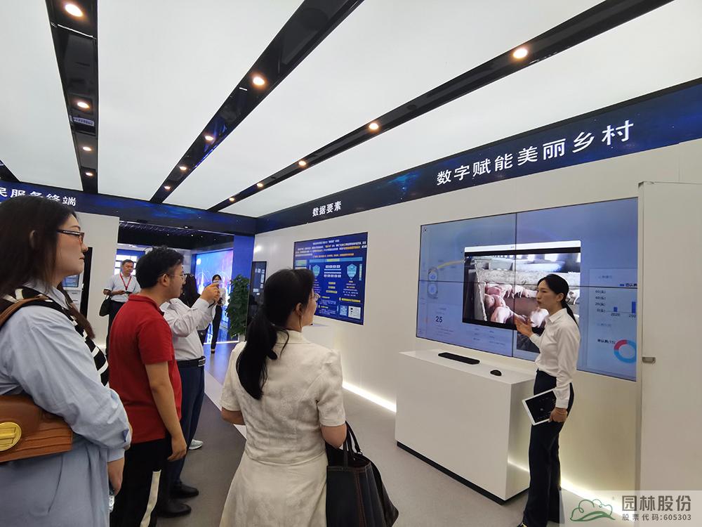 电竞比赛押注app