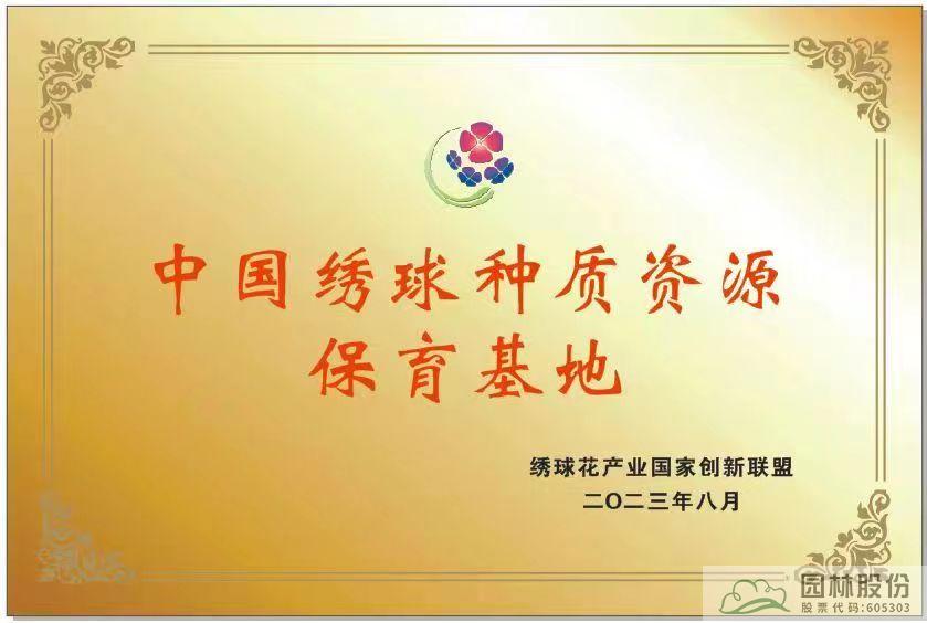 电竞比赛押注app