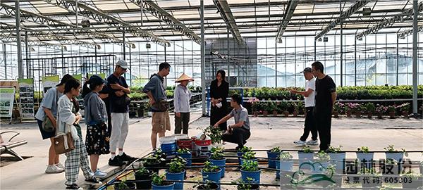 电竞比赛押注app