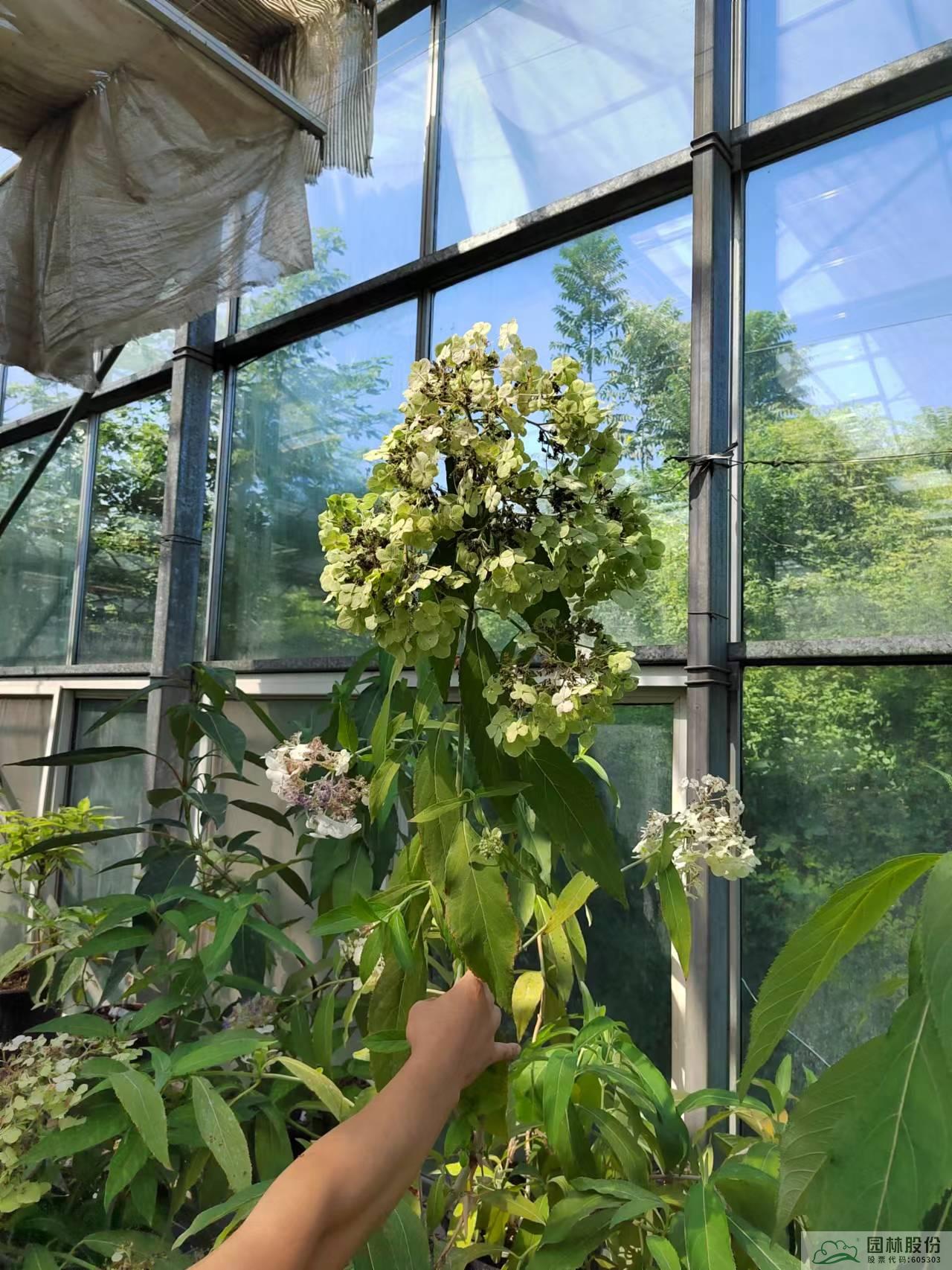 电竞比赛押注app