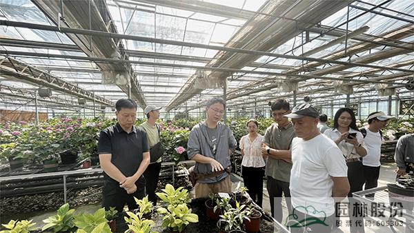 电竞比赛押注app