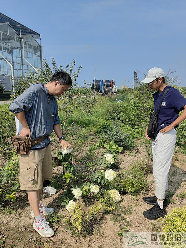 电竞比赛押注app
