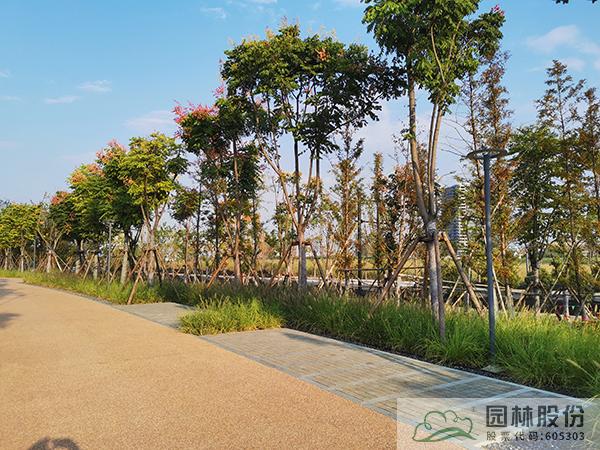 电竞比赛押注app