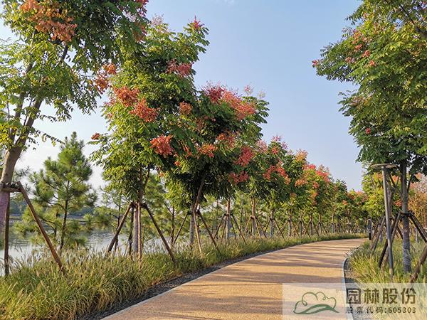 电竞比赛押注app