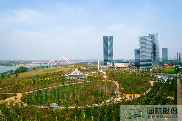 电竞比赛押注app