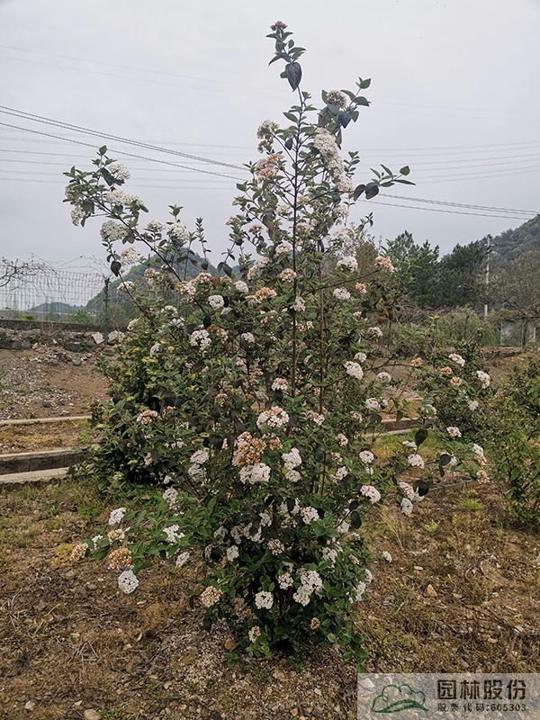 电竞比赛押注app